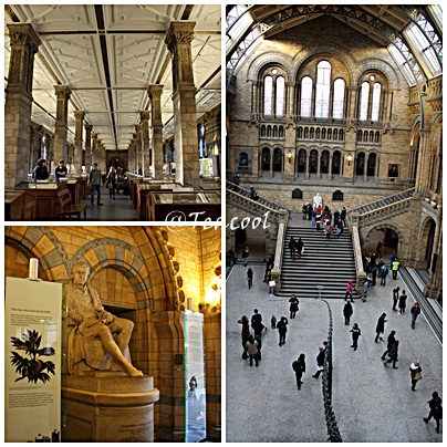 National History Museum,London